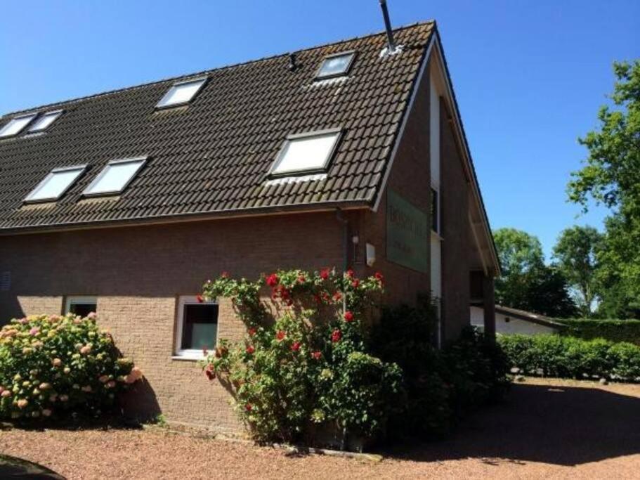 Boszicht 3 Appartement In Oostkapelle Exterior photo